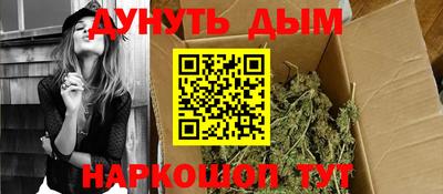 МДПВ Новозыбков